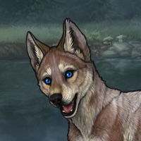 Dark Fawn enclave Headshot