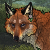 Sorrel✨ Headshot