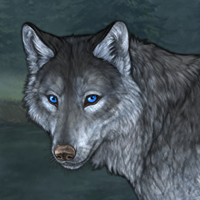 Blue-Gray Gnatcatcher Headshot