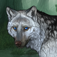 Wolf Headshot