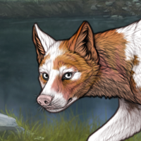 Piebald M Headshot