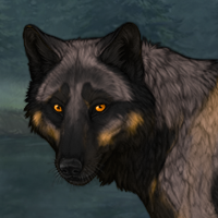 Samhain Headshot