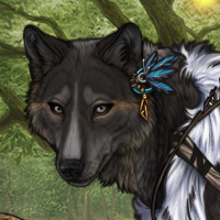 Wolf Headshot