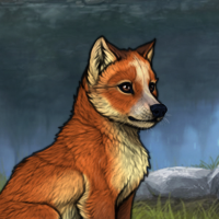 New fox Headshot