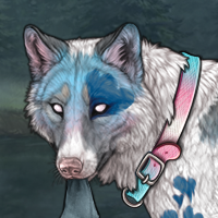 Galen Headshot