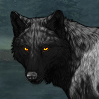 Wolf Headshot