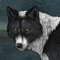 Wolf Headshot