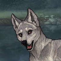 Ca'ihrou Puppy Headshot