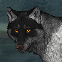 Wolf Headshot