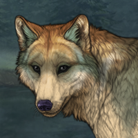 +New Befriended Wolf Headshot