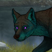 ((Pup))Dark Brown; 6M Headshot