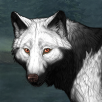 Wolf Headshot