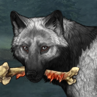 Wolf Headshot