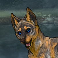 HalibutII Raffle Stud Pup Headshot