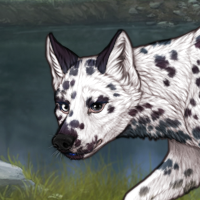 G2 Dalmatian Stlkr train Headshot