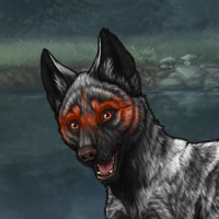 Darkpaw Headshot