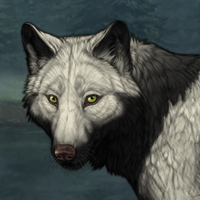 Wolf Headshot