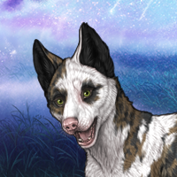 Piebald Girl Strength Headshot