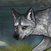 Silverpaw Headshot