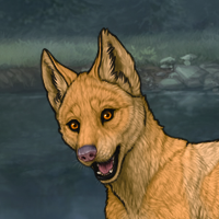 Amberpup Headshot