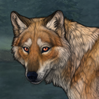 The Copper Wolf Headshot