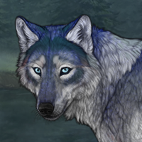 Wolfram Headshot