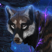 Wolf Headshot