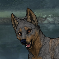 Zhichi Male Pup 2 Headshot