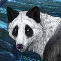 Vadon Headshot