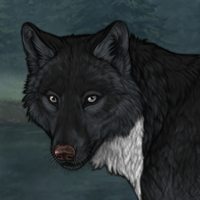 Wolf Headshot