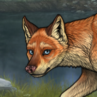 fox Headshot
