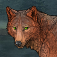 Red Wolf Headshot