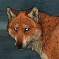 Fox ‘ Pelt Headshot