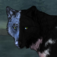 🔮🐺 Blueslice Headshot