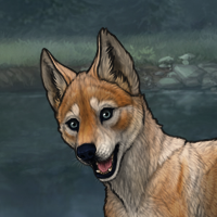 RNC Headshot