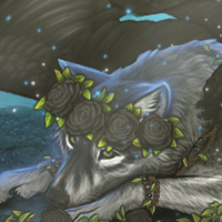 Wolf Headshot
