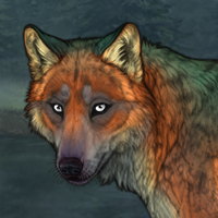 Szyszka Headshot
