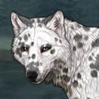 Dalmatian Headshot