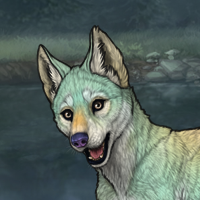 a Headshot
