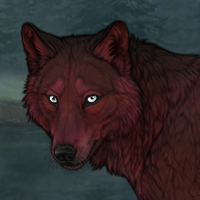 50 Silvercent Headshot