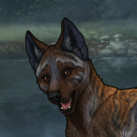 Blueschist Headshot