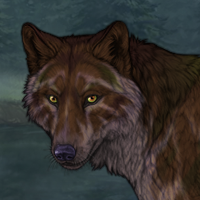 Roleless wolf Headshot
