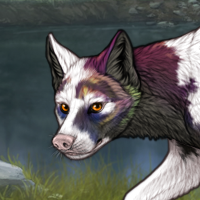 Wisp Howler Headshot