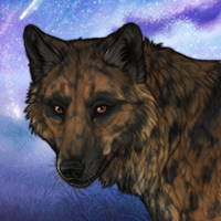 Brinn Headshot