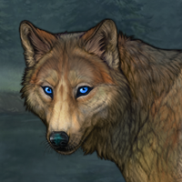 Merlin Headshot