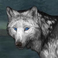 Wolf Headshot