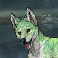 Piebald: Zerdava Headshot