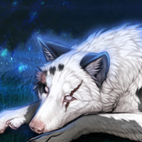 Wolf Headshot