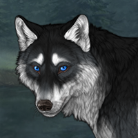 Wolf Headshot