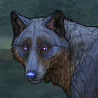 Nocturna Blue Paw Headshot